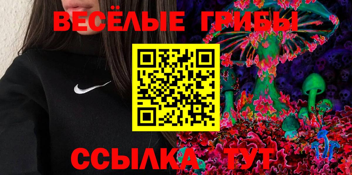 Лыткарино  Галлюциногенные грибы Psilocybe  Вход с VPN 